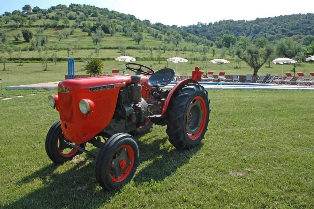 Agriturismo La Banchella Scarlino Exterior photo